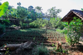 Pemkot Bandung Luncurkan Program Rindu Rindang Tangani Krisis Air