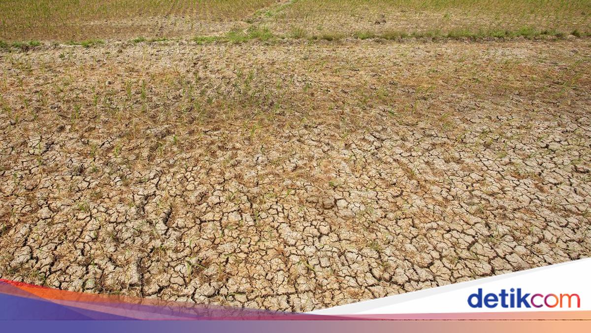 Pemprov Banten Siapkan Pompa Air Hadapi Kekeringan El Nino