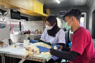 Pemprov DKI Jakarta Luncurkan 5 Mobil Klinik Hewan Keliling