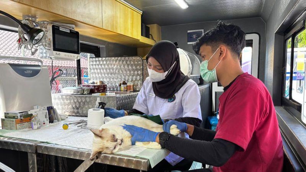 Pemprov DKI Jakarta Luncurkan 5 Mobil Klinik Hewan Keliling