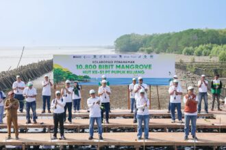 Penanaman 500 Bibit Mangrove Perkuat Ekosistem Pesisir