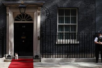 Pesan Unik Larry the Cat untuk PM Inggris Baru Andy Burnham