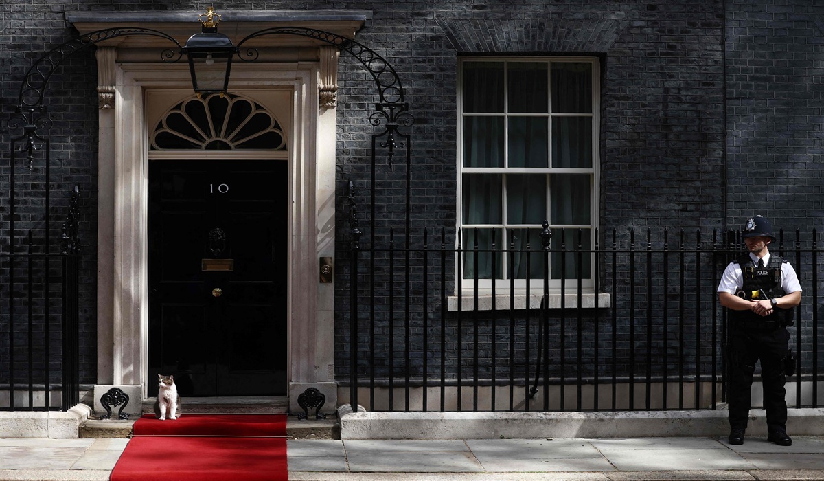 Pesan Unik Larry the Cat untuk PM Inggris Baru Andy Burnham