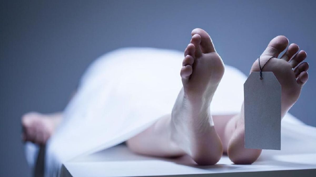Pesawat AMA Dibakar di Yahukimo, Pilot WNA Meninggal Dunia