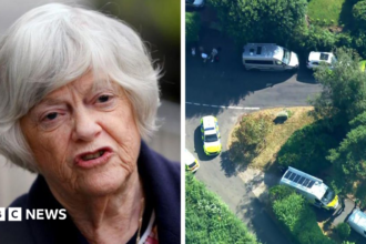 Pria Ditangkap Terkait Dugaan Pembunuhan Ann Widdecombe