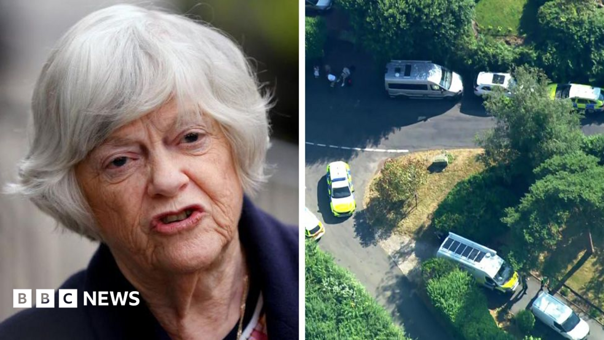 Pria Ditangkap Terkait Dugaan Pembunuhan Ann Widdecombe