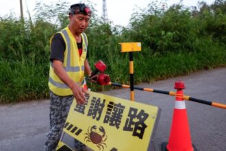 Relawan di Taiwan Bangun Jalur Khusus untuk Kepiting Bertelur