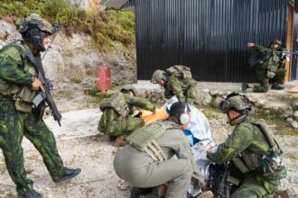 TNI Identifikasi Elkius Kobak Sebagai Pelaku Pembakaran Pesawat di Yahukimo
