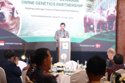 Pulihkan sektor peternakan Pasca-ASF, Sulawesi Utara jalin kemitraan genetika babi dengan Denmark