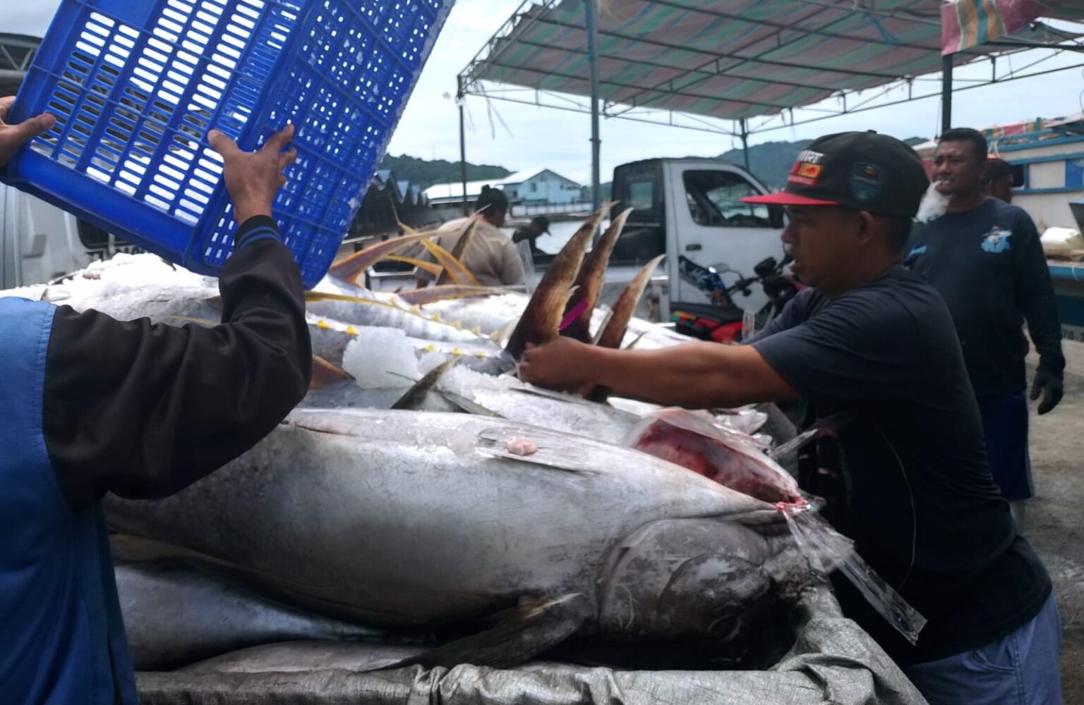 Target produksi ikan naik, nelayan Bitung mengaku kian terhimpit