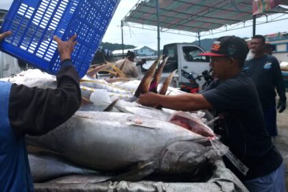 Target produksi ikan naik, nelayan Bitung mengaku kian terhimpit