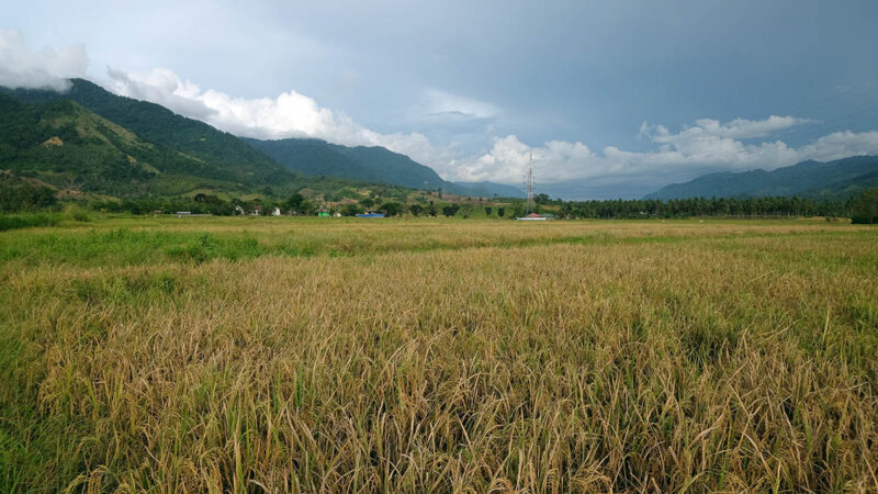 beras