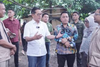bitung
