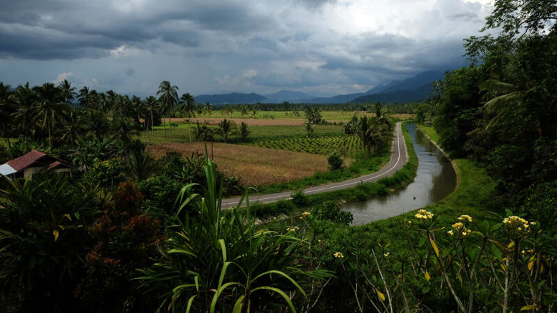 petani