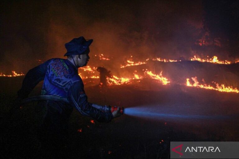10.700 Personel Gabungan Dikerahkan Atasi Karhutla di Palangka Raya