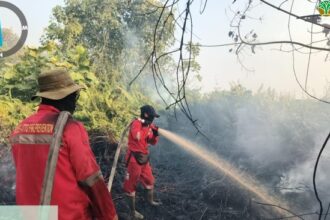 335 Konsesi Hutan Sumatra dan Kalimantan Terbakar, 85.000 Ha Hangus