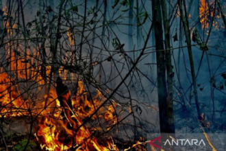 473 Titik Panas Ditemukan di Kalimantan Selatan, Zona Merah Karhutla Menyebar