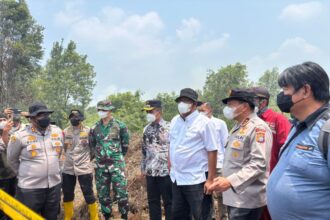 85 Ribu Hektare Konsesi di Indonesia Terbakar Akibat Karhutla