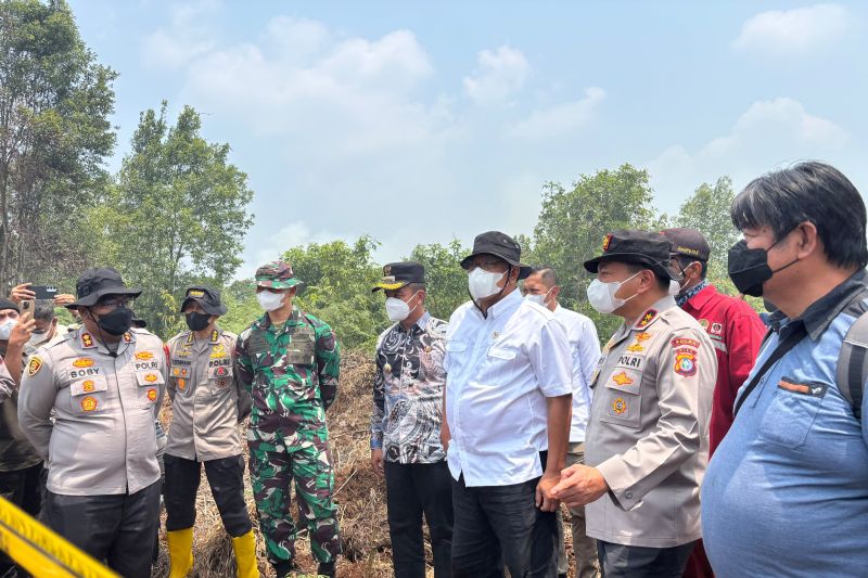 85 Ribu Hektare Konsesi di Indonesia Terbakar Akibat Karhutla