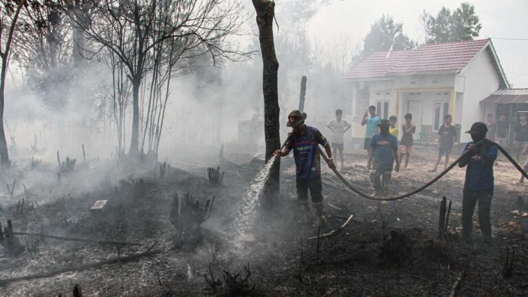 Asap Pekat dan Ribuan Titik Panas Landa Kalimantan