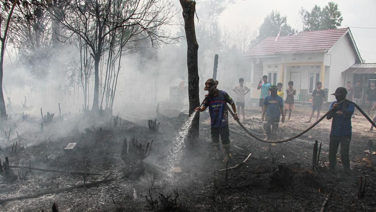 Asap Pekat dan Ribuan Titik Panas Landa Kalimantan