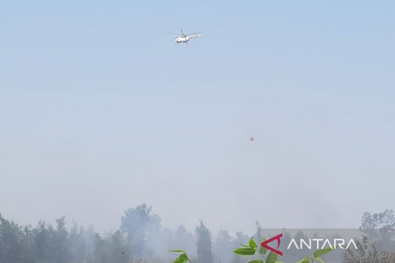 BNPB Gunakan 4 Helikopter Water Bombing untuk Karhutla di Kalsel