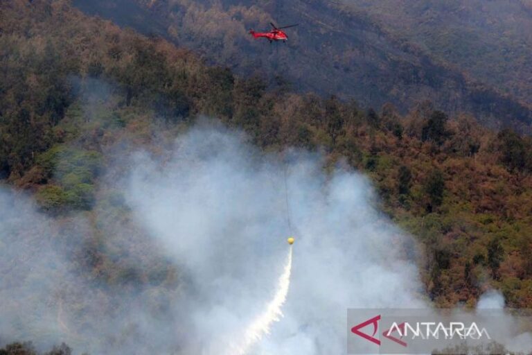 BPBD Jatim Intensifkan Water Bombing Atasi Karhutla di Arjuno