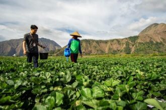 BRI Raih Penghargaan atas Obligasi Sosial Berkelanjutan