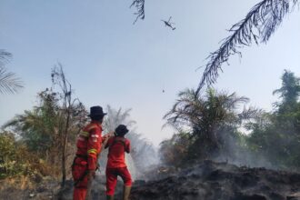 Darurat Kebakaran Hutan di Sulsel Didorong Kemarau dan Kelalaian Manusia