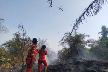 Darurat Kebakaran Hutan di Sulsel Didorong Kemarau dan Kelalaian Manusia