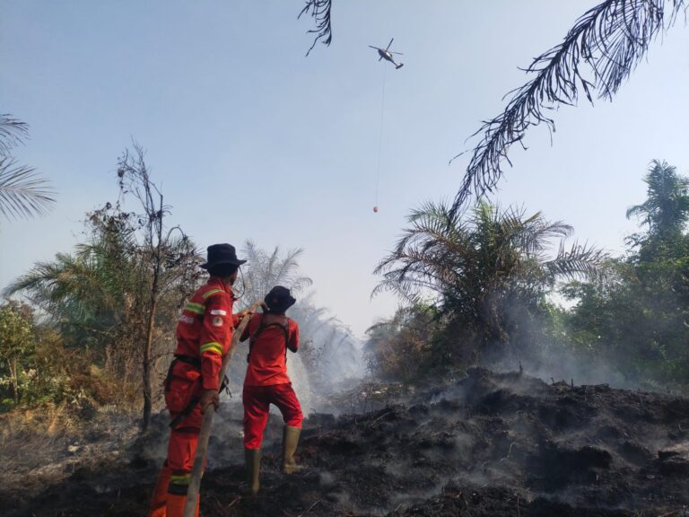 Darurat Kebakaran Hutan di Sulsel Didorong Kemarau dan Kelalaian Manusia