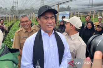 El Nino Ancam, Stok Beras Indonesia 5,1 Juta Ton