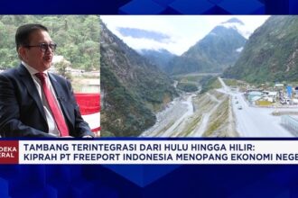 Freeport Indonesia Dukung Ekonomi RI Lewat Pajak dan Investasi Lokal