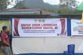 Gempa Manggarai Timur, Krisis Emigrasi Israel: Rangkuman Berita Nasional 20 Agustus 2026