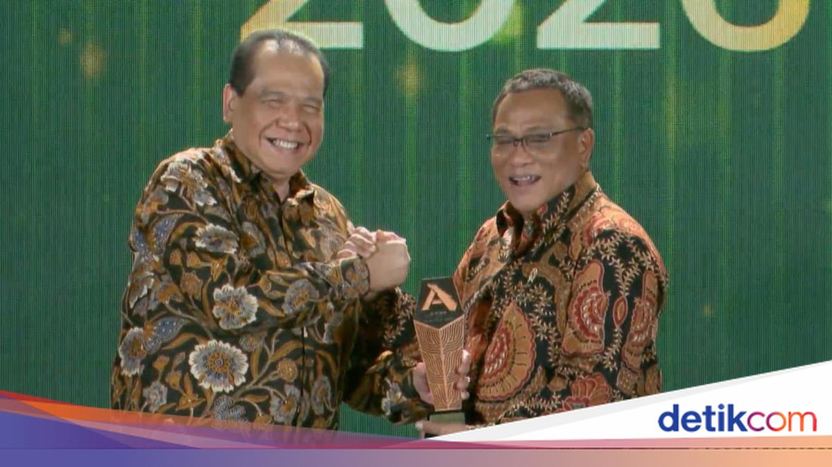 Jumhur Hidayat Terima detikSumatera Awards, Jadi Tokoh Penggerak Ekologis