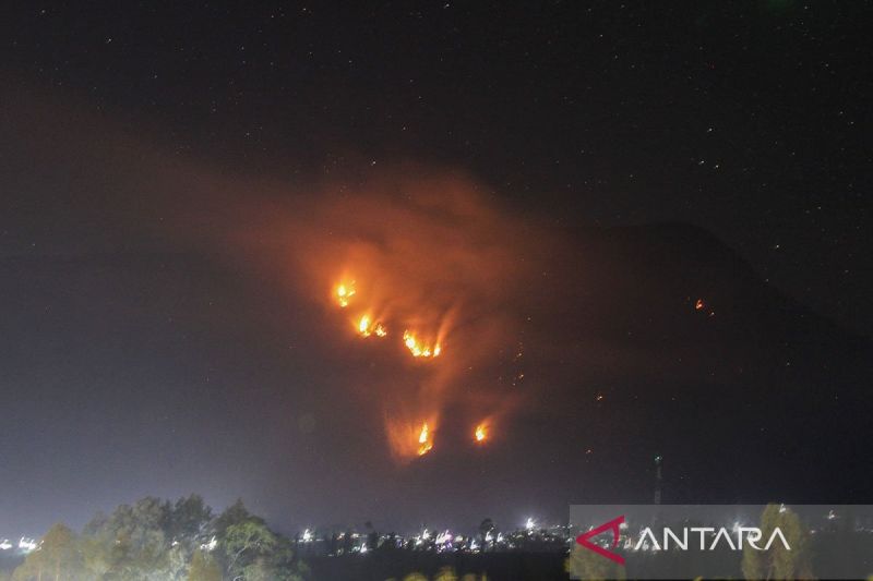 Karhutla Bromo, Iran, dan Ekonomi: Rangkuman Berita Nasional 11 Agustus 2026