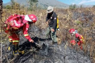 Karhutla di Sembalun, Gunung Rinjani, Berhasil Dikendalikan
