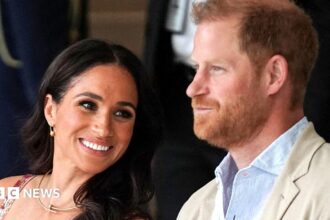 Keamanan Harry dan Meghan di Inggris Urusan Pribadi, Kata PM