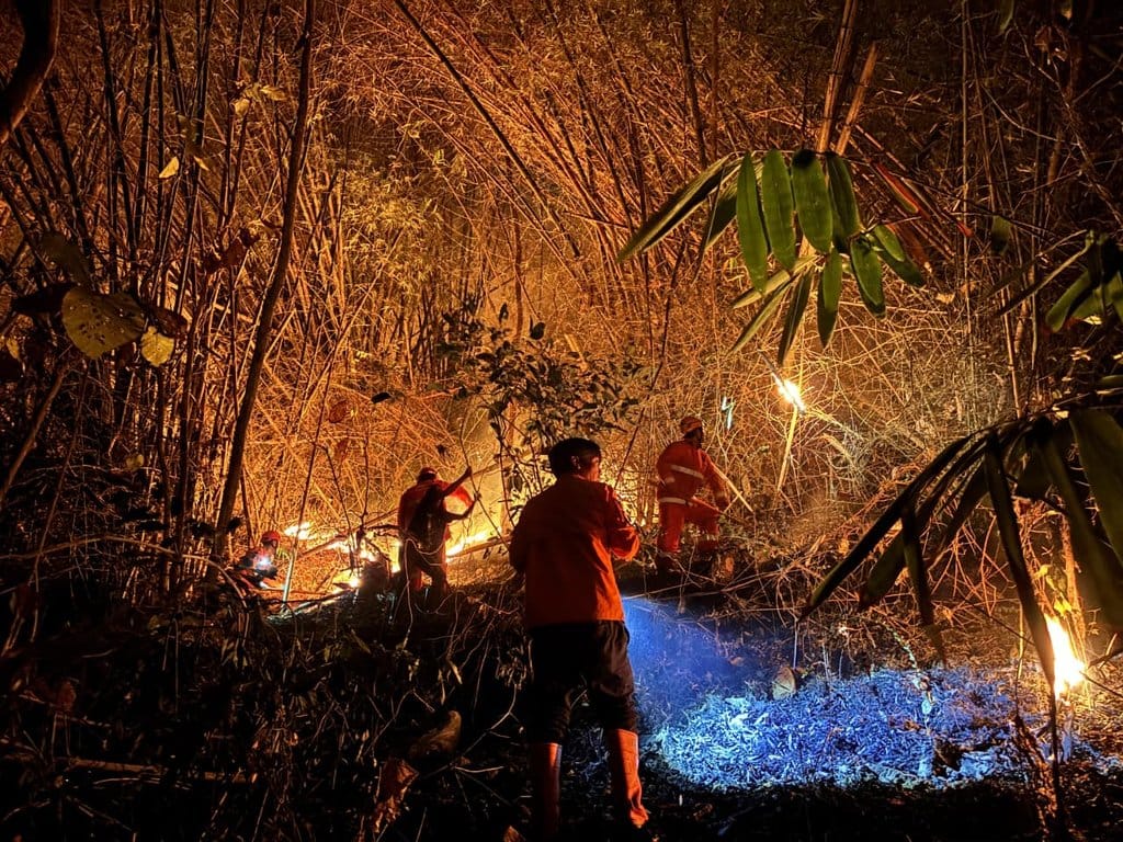 Kebakaran Hanguskan 2 Hektare Lahan di Gunung Trianggulasi Jember
