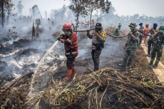 Kebakaran Hutan Melanda Berbagai Wilayah Indonesia