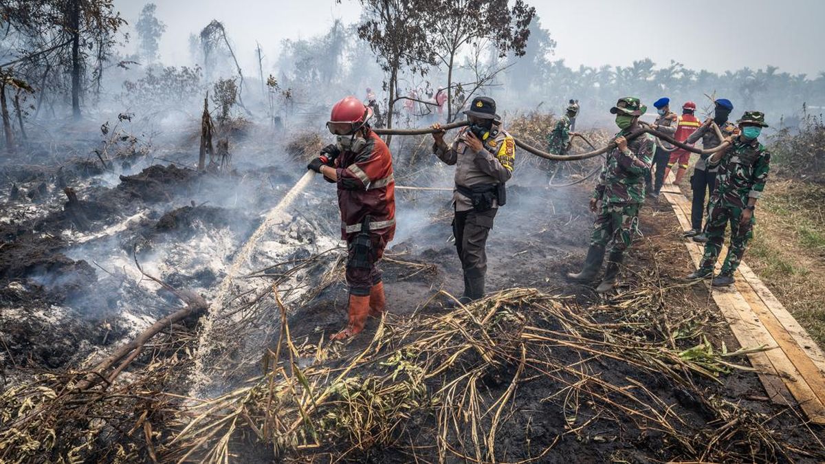 Kebakaran Hutan Melanda Berbagai Wilayah Indonesia