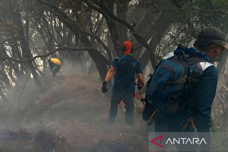 Kebakaran Hutan, Pemerasan Bupati: Rangkuman Berita Nasional 9 Agustus 2026