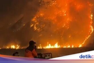 Kebakaran Meluas, Kawasan Wisata Gunung Bromo Ditutup Total