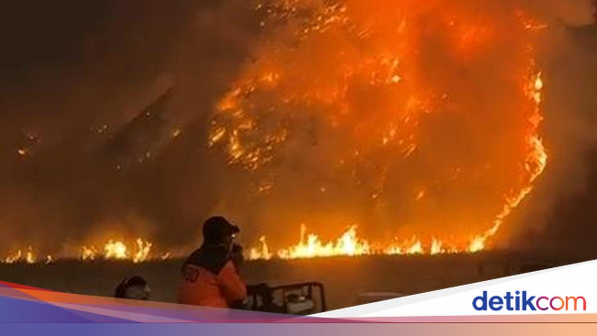 Kebakaran Meluas, Kawasan Wisata Gunung Bromo Ditutup Total