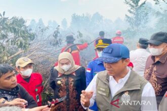 Kebakaran di Taman Nasional Way Kambas Telah Padam