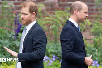 Kembalinya Pangeran Harry: Dampak bagi Hubungan dengan William