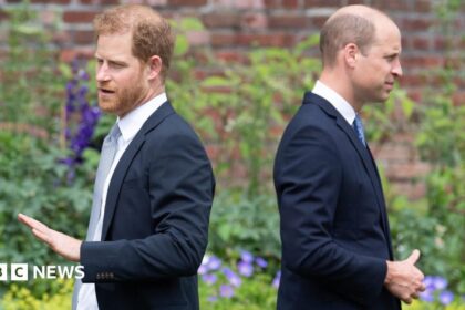 Kembalinya Pangeran Harry: Dampak bagi Hubungan dengan William