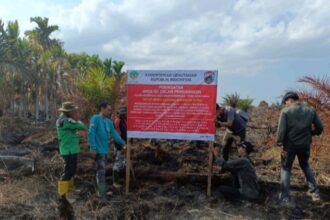 Kemenhut Segel Lahan Bekas Kebakaran PT TCP di Musi Banyuasin