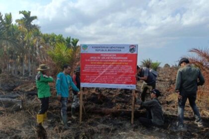 Kemenhut Segel Lahan Bekas Kebakaran PT TCP di Musi Banyuasin