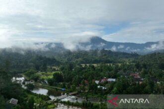 Kemenhut Tingkatkan Peran Perdagangan Karbon yang Berkelanjutan